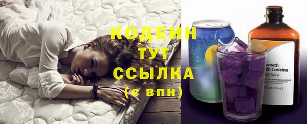молекула духа Переславль-Залесский