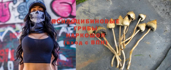 mdpv Пестово