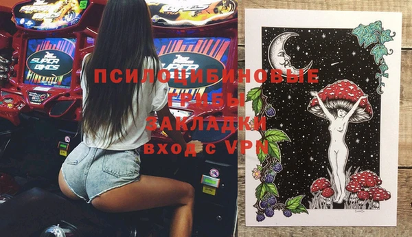 молекула духа Переславль-Залесский