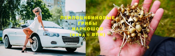 спайс Пересвет