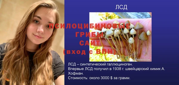 mdpv Пестово