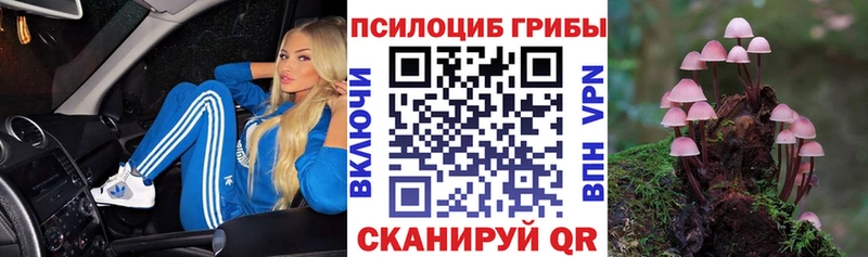 магазин продажи   Углегорск  Галлюциногенные грибы GOLDEN TEACHER 